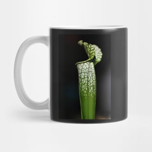 Green Pitcher Plant Study Mug